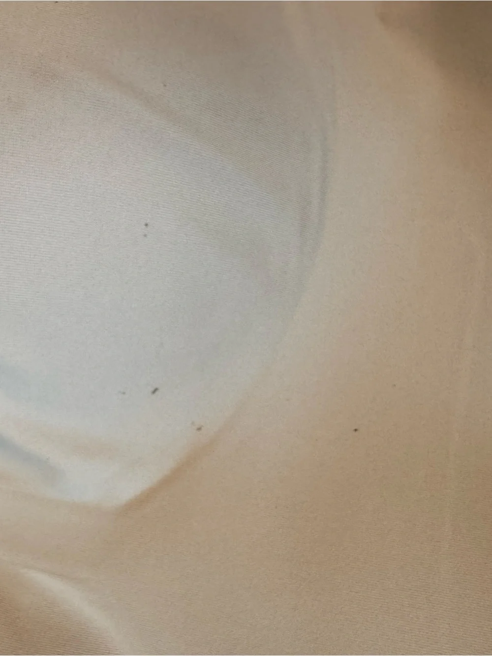 EBY Seamless Nude Wireless Relief Bra